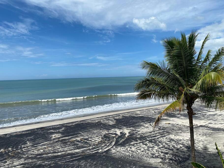 Coronado Beachfront Tropical Home! Playa Coronado Luaran gambar